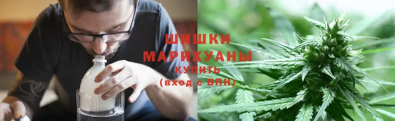 купить закладку  Дедовск  Шишки марихуана White Widow 